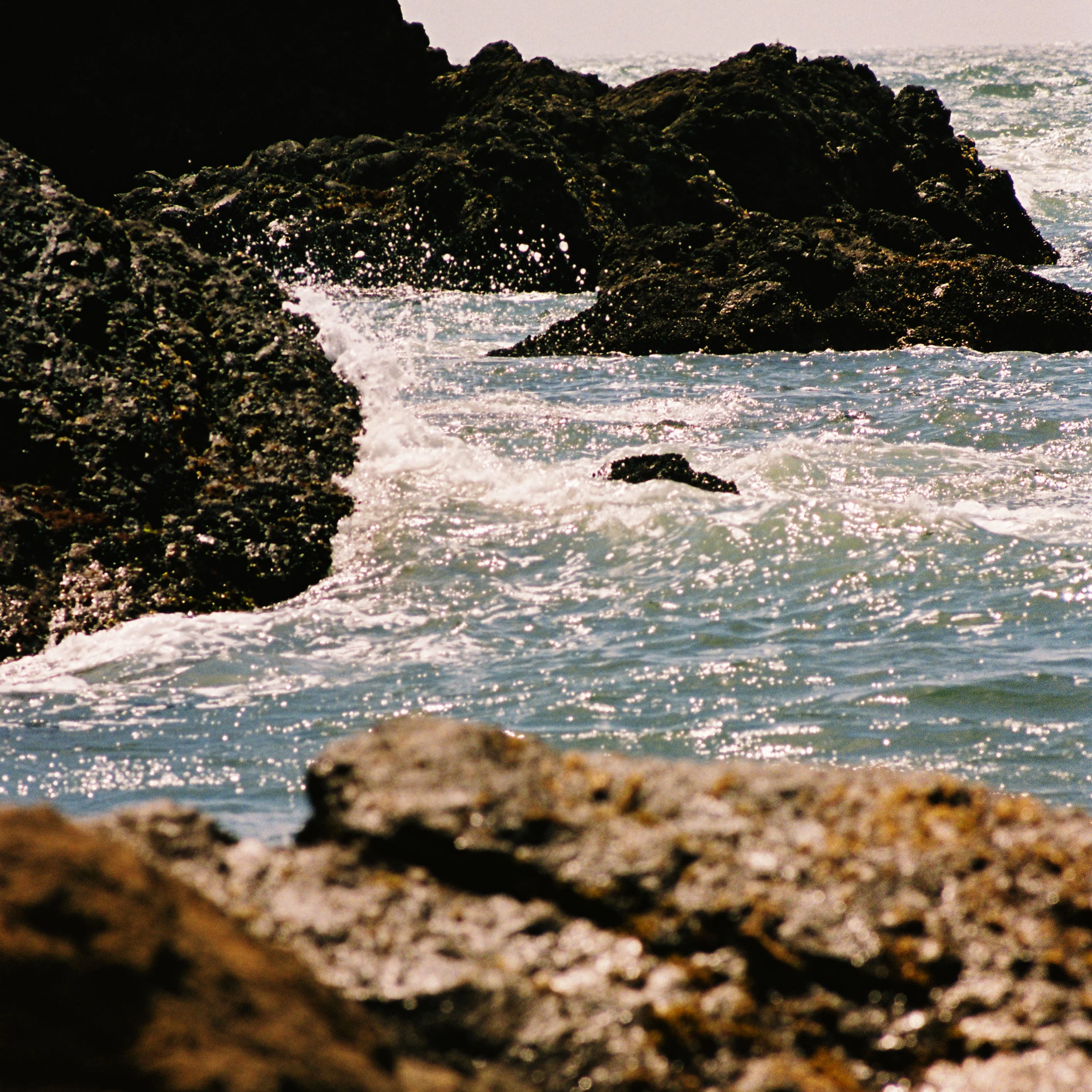Collegiate Arch Hoodie - Image 3