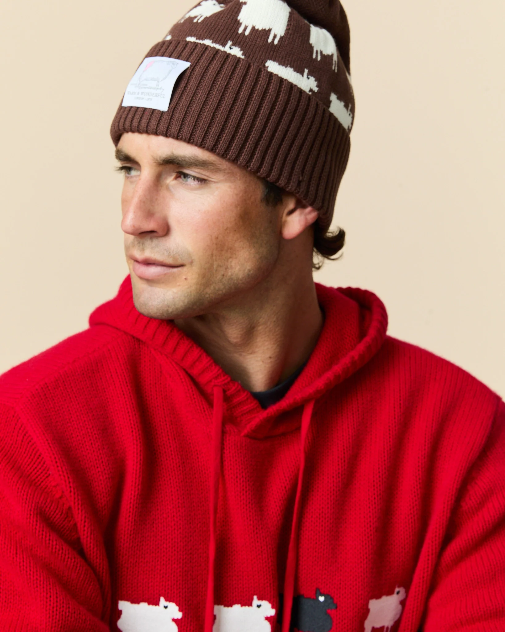 Cotton Sheep Beanie Brown - Image 3