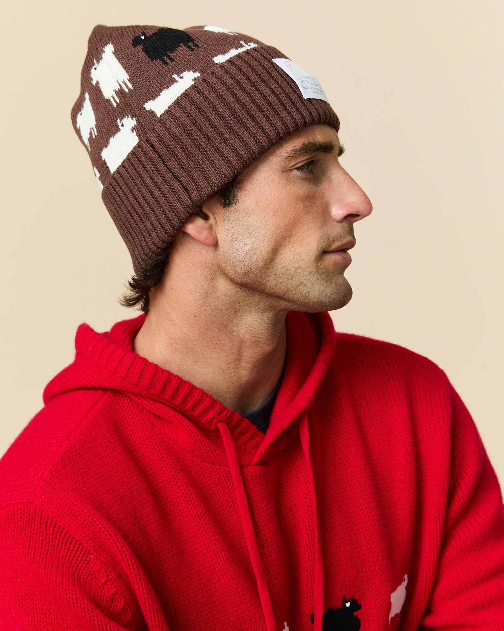 Cotton Sheep Beanie Brown - Image 5