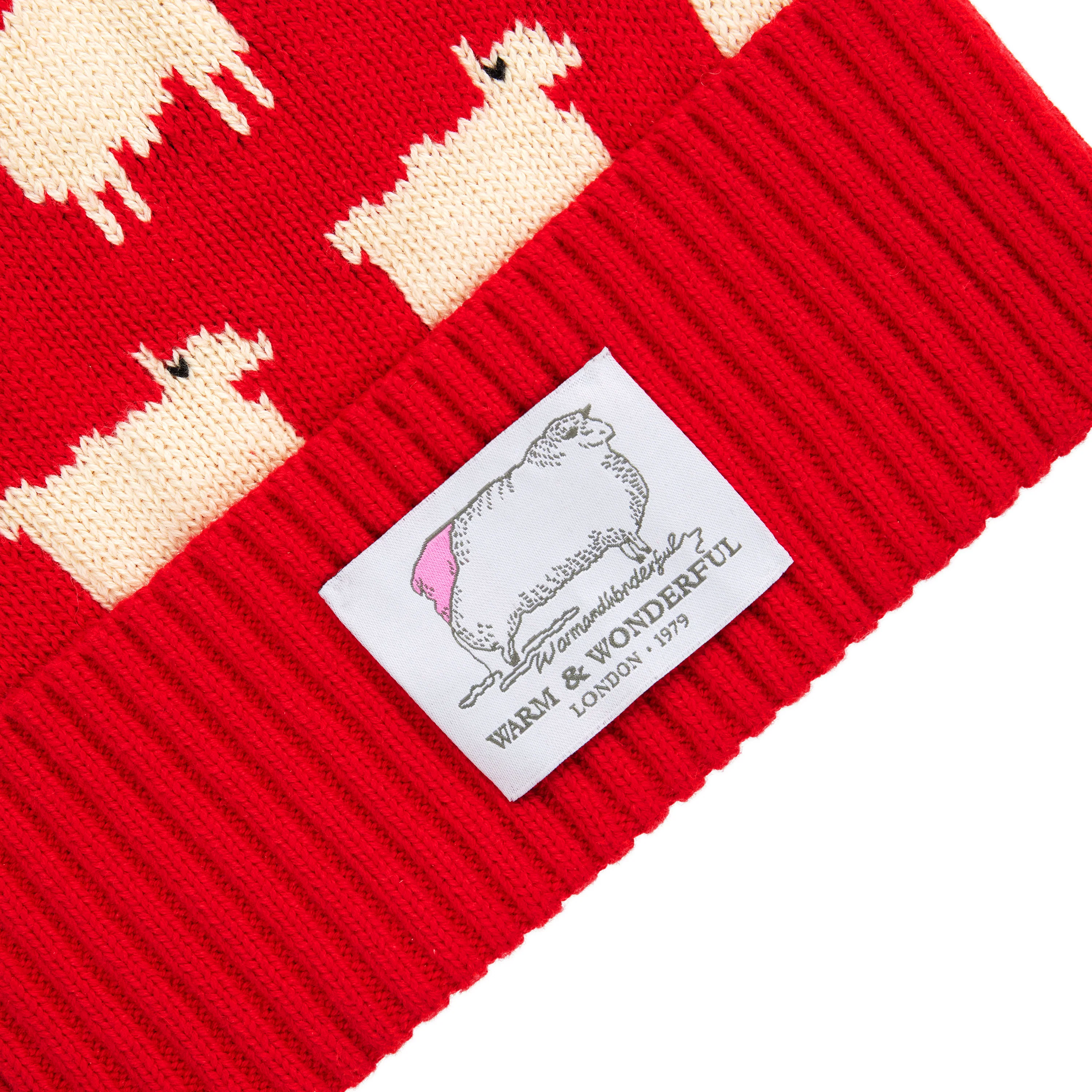 Warm & Wonderful Cotton Sheep Beanie - Image 3