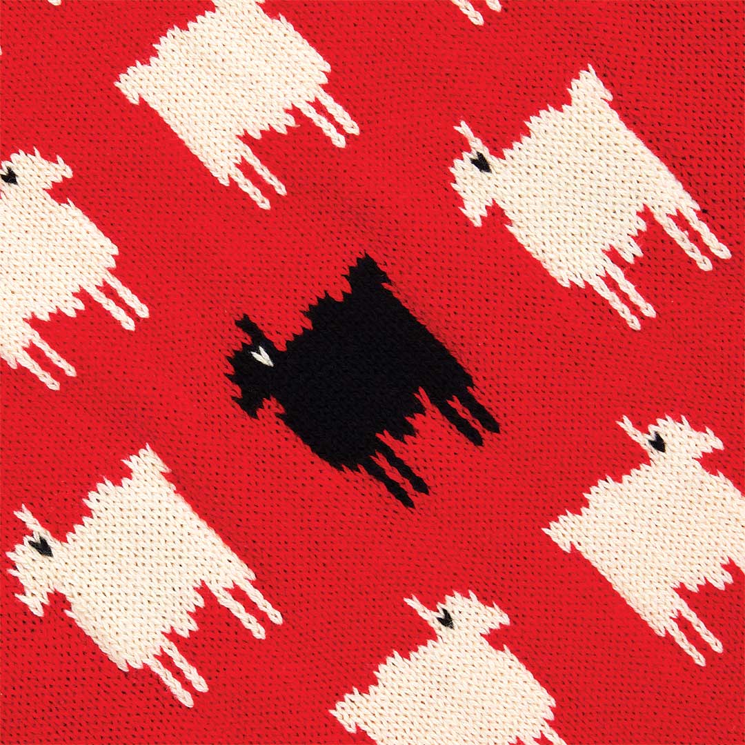 Sheep Cashmere Scarf Diana Red - Image 5